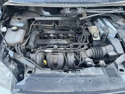 Focus C-Max